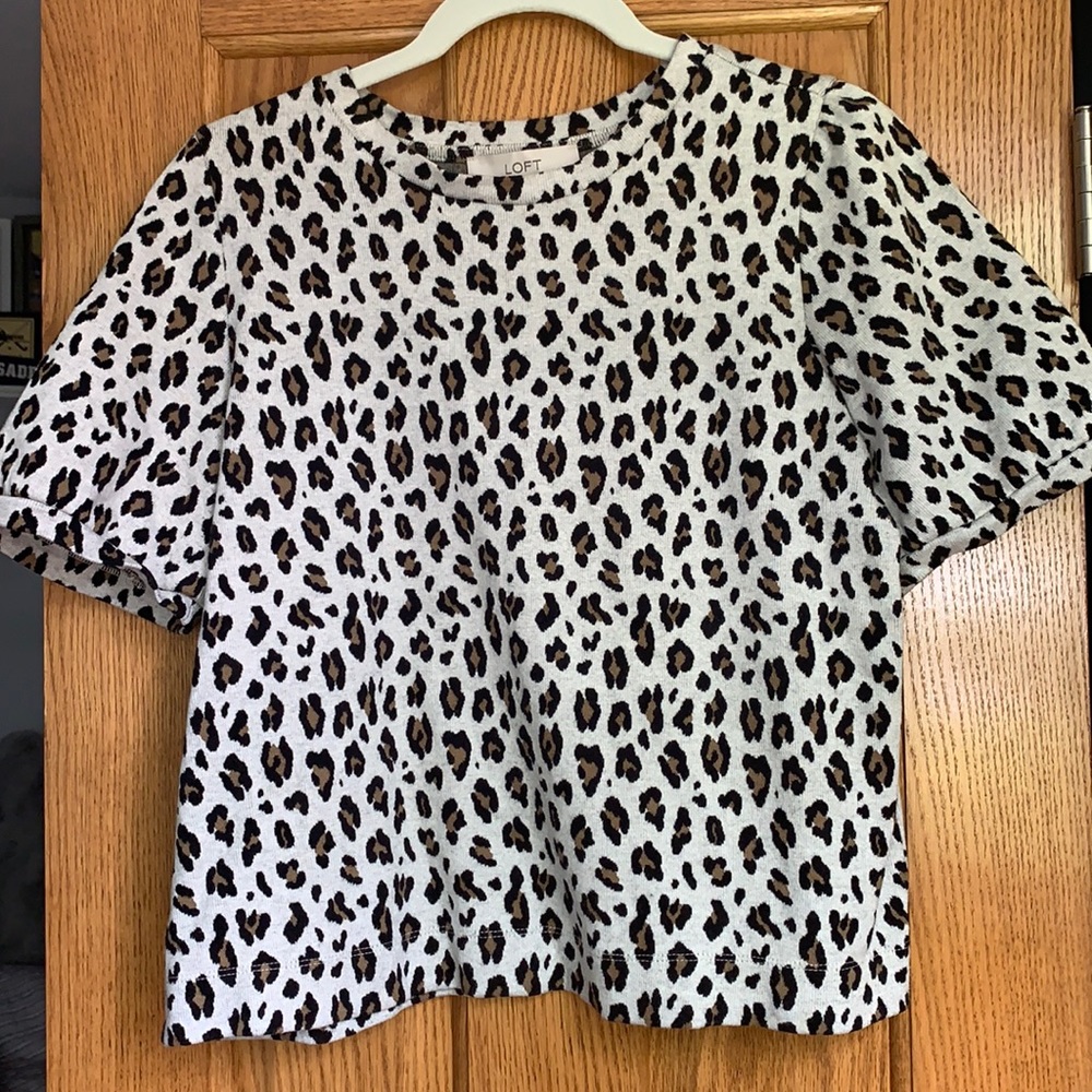 Leopard Loft Sweater Top